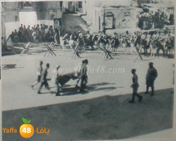 old yaffa 3j3 (6).JPG